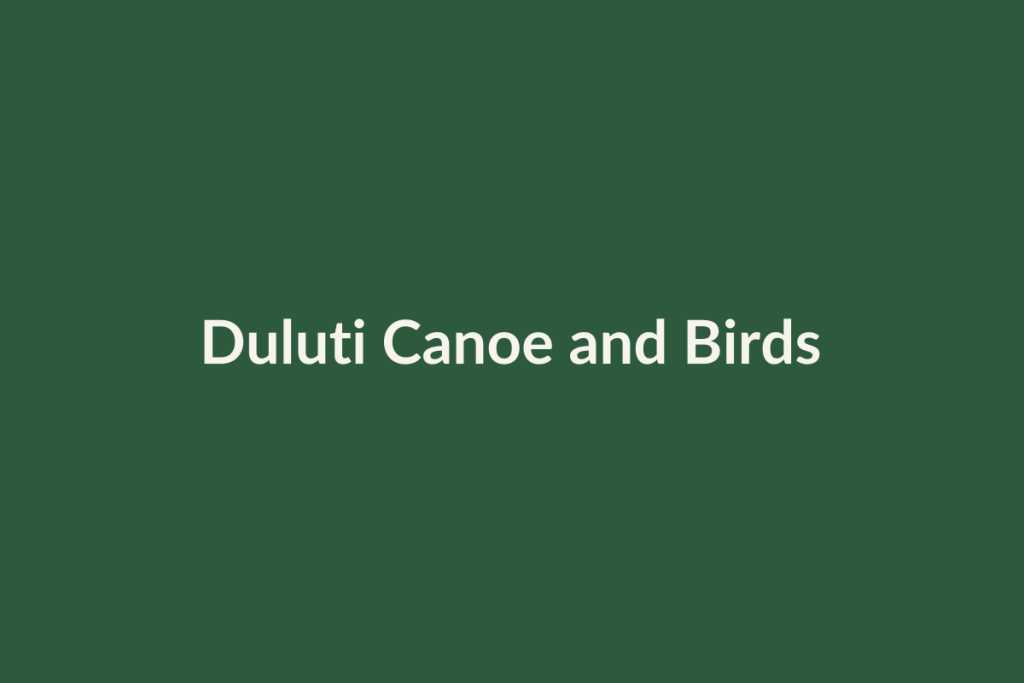Duluti Canoe and Birds