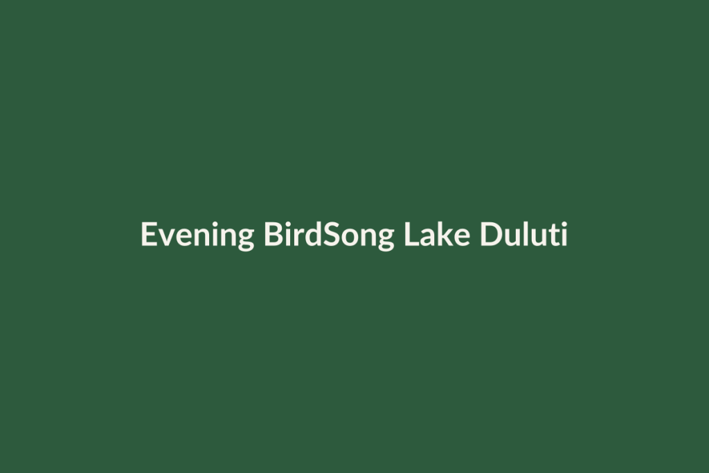 Evening BirdSong Lake Duluti