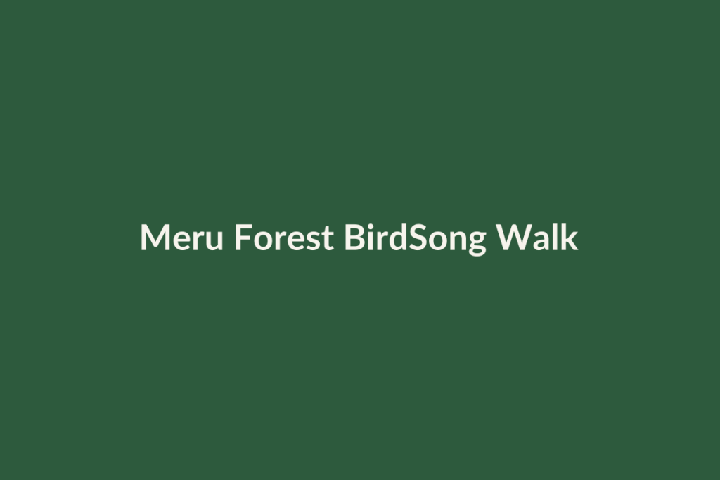 Meru Forest BirdSong Walk