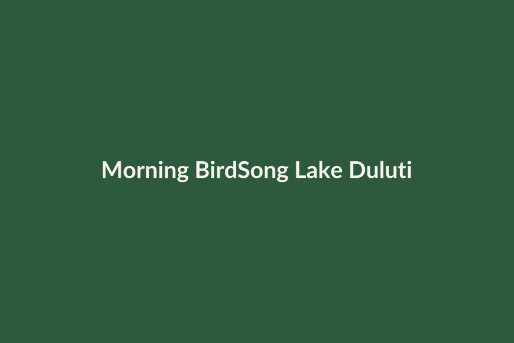 Morning BirdSong Lake Duluti